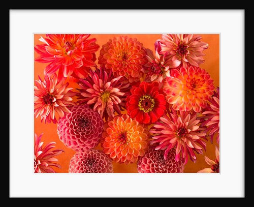 Mixed flowers by Assaf Frank